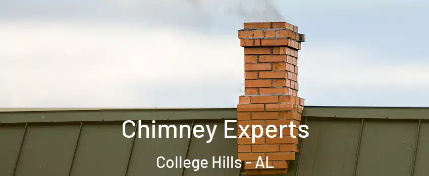 Chimney Experts College Hills - AL