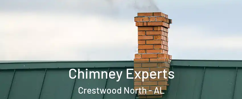 Chimney Experts Crestwood North - AL