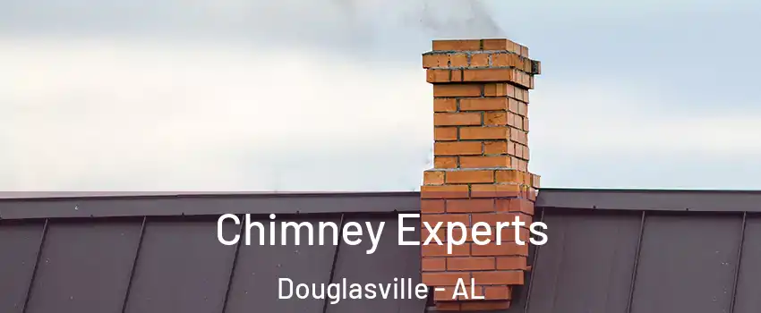 Chimney Experts Douglasville - AL