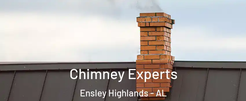 Chimney Experts Ensley Highlands - AL