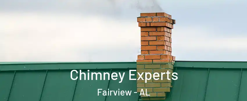 Chimney Experts Fairview - AL