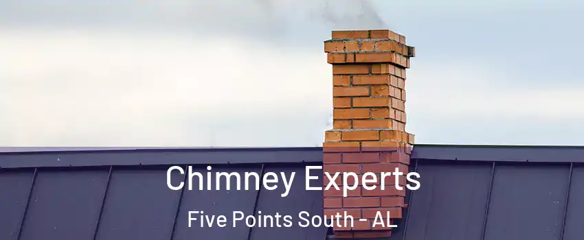 Chimney Experts Five Points South - AL