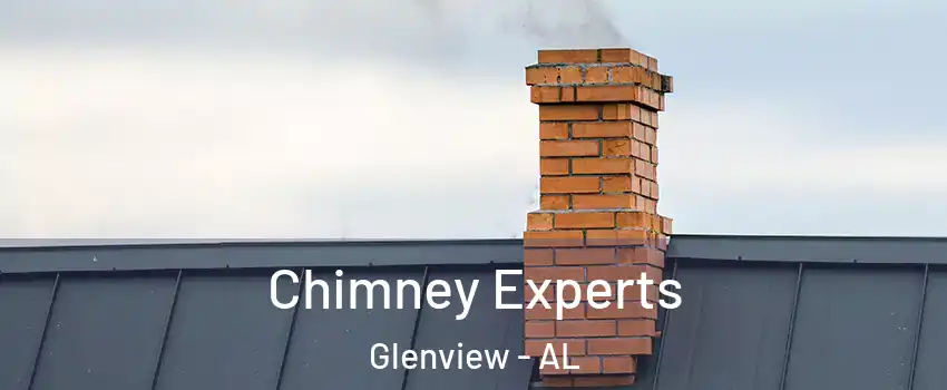 Chimney Experts Glenview - AL