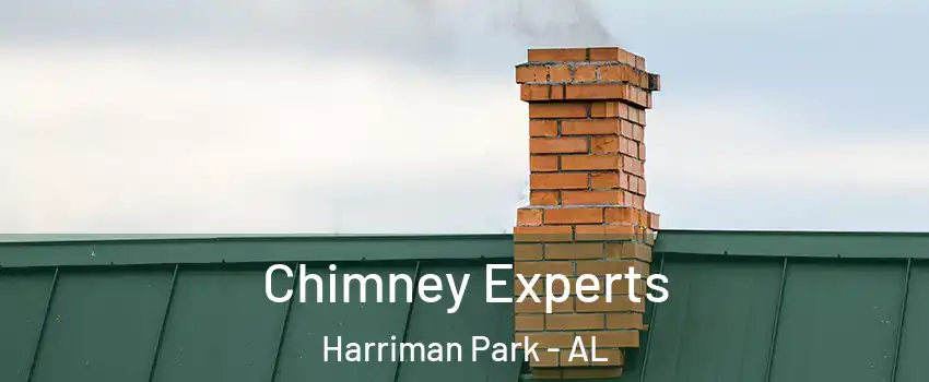 Chimney Experts Harriman Park - AL