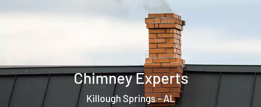 Chimney Experts Killough Springs - AL