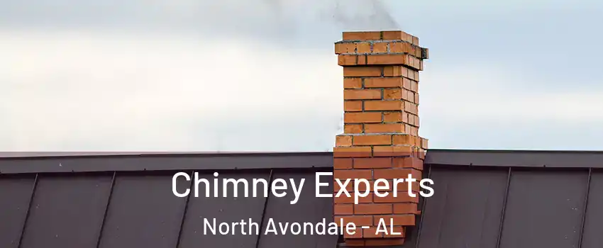 Chimney Experts North Avondale - AL