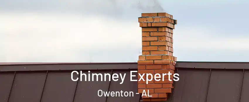 Chimney Experts Owenton - AL