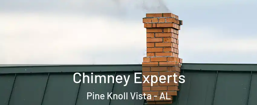 Chimney Experts Pine Knoll Vista - AL