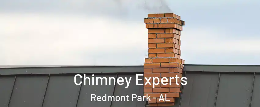 Chimney Experts Redmont Park - AL