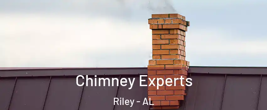 Chimney Experts Riley - AL