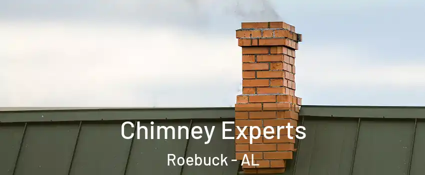 Chimney Experts Roebuck - AL