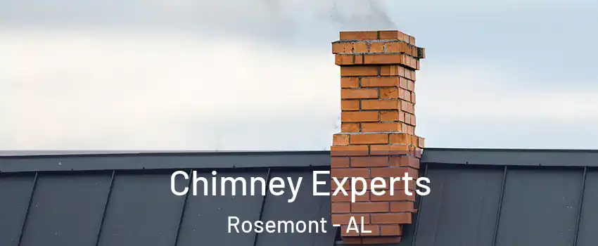 Chimney Experts Rosemont - AL
