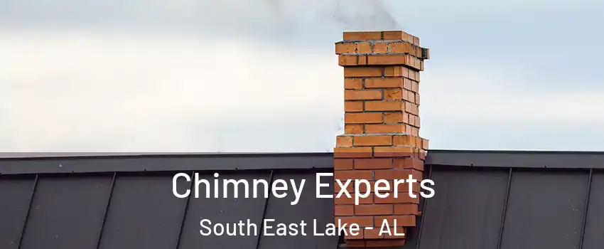 Chimney Experts South East Lake - AL