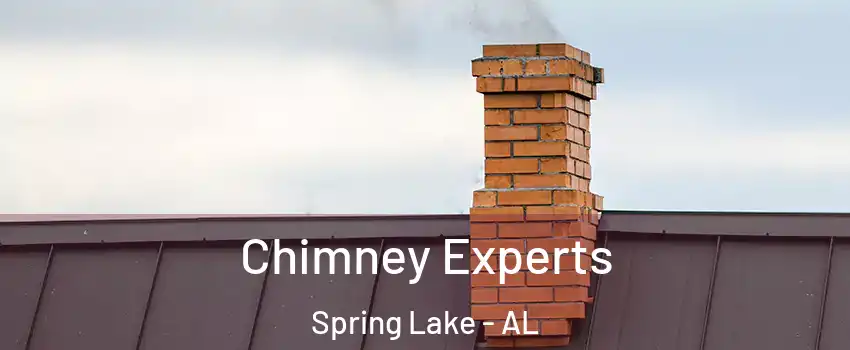 Chimney Experts Spring Lake - AL