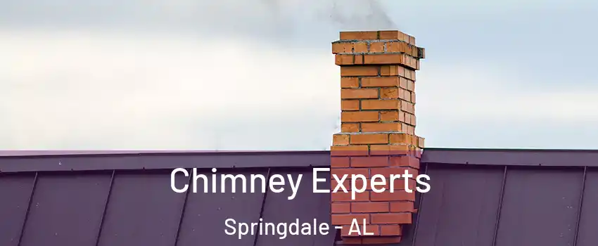 Chimney Experts Springdale - AL