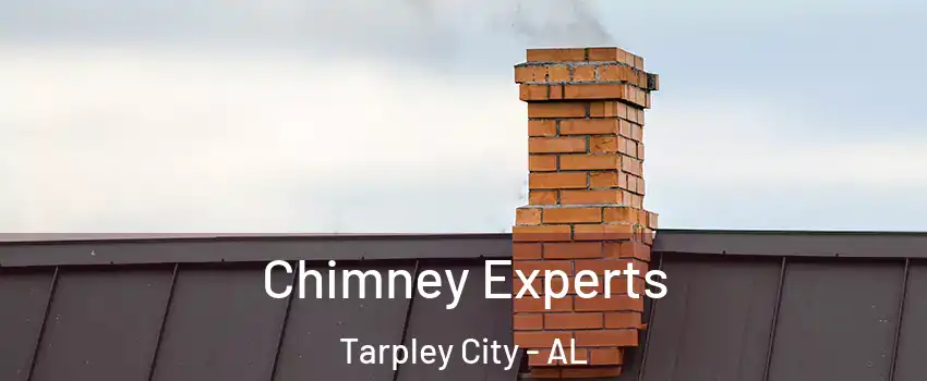 Chimney Experts Tarpley City - AL
