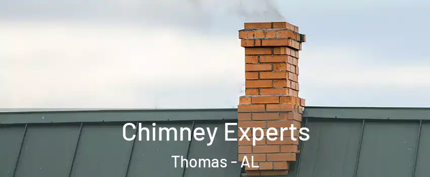 Chimney Experts Thomas - AL