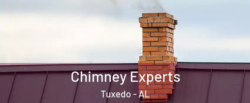Chimney Experts Tuxedo - AL