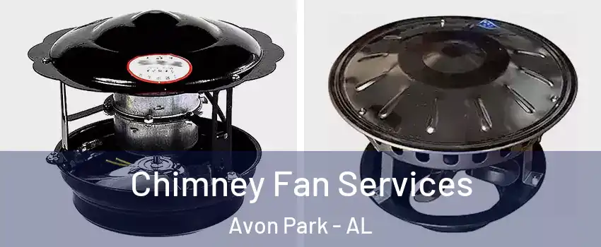 Chimney Fan Services Avon Park - AL