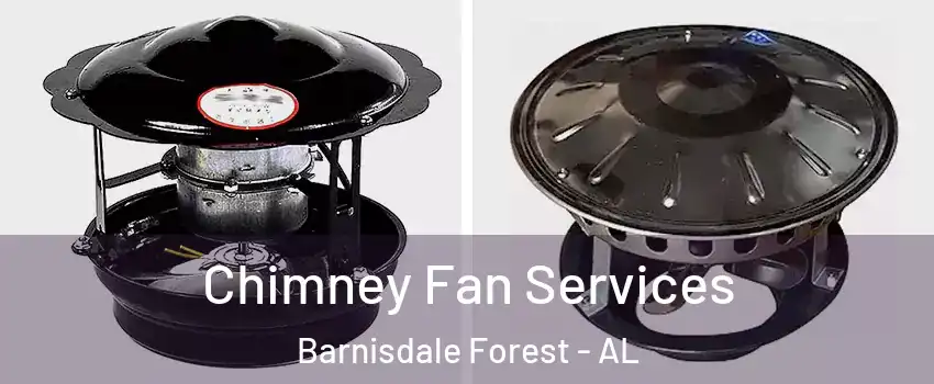 Chimney Fan Services Barnisdale Forest - AL