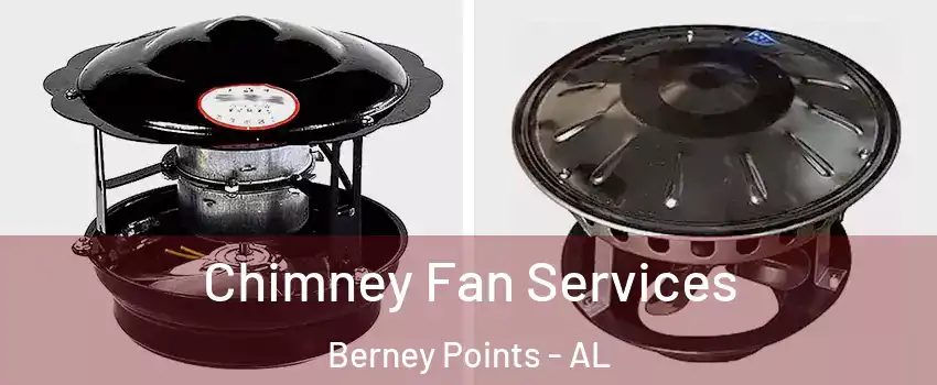 Chimney Fan Services Berney Points - AL