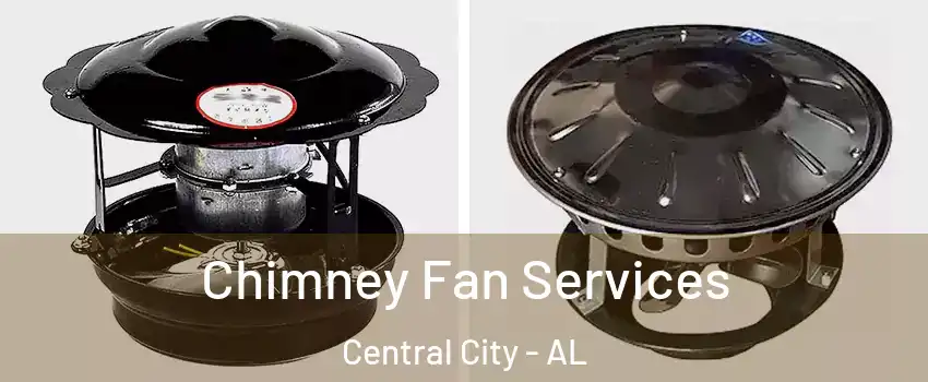 Chimney Fan Services Central City - AL
