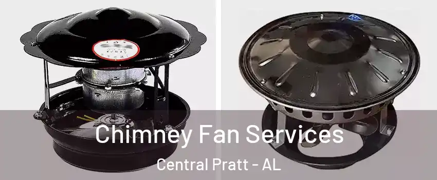 Chimney Fan Services Central Pratt - AL