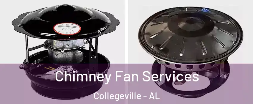 Chimney Fan Services Collegeville - AL