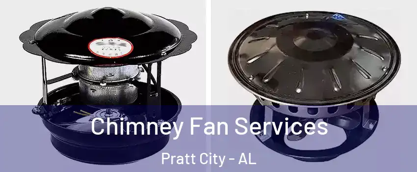 Chimney Fan Services Pratt City - AL