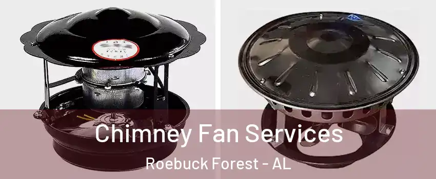 Chimney Fan Services Roebuck Forest - AL