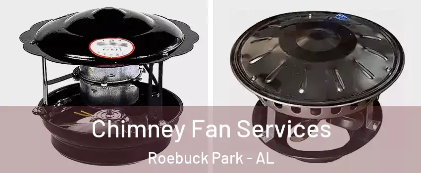 Chimney Fan Services Roebuck Park - AL