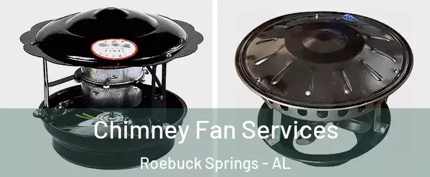 Chimney Fan Services Roebuck Springs - AL