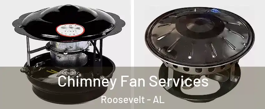Chimney Fan Services Roosevelt - AL