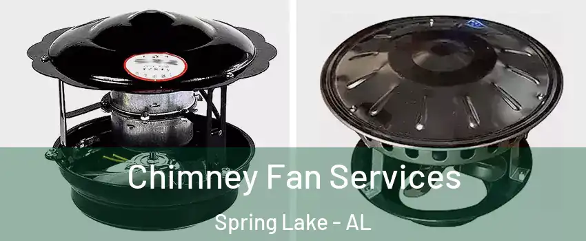 Chimney Fan Services Spring Lake - AL