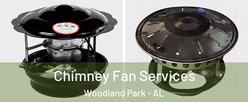 Chimney Fan Services Woodland Park - AL
