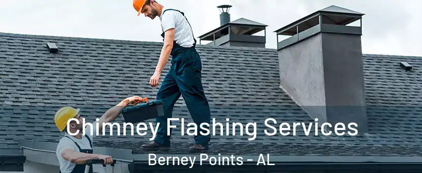 Chimney Flashing Services Berney Points - AL