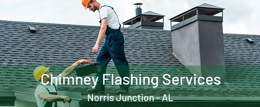 Chimney Flashing Services Norris Junction - AL