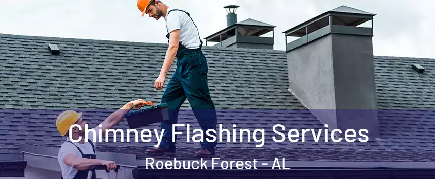 Chimney Flashing Services Roebuck Forest - AL