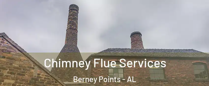 Chimney Flue Services Berney Points - AL