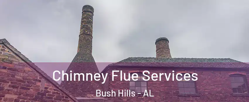 Chimney Flue Services Bush Hills - AL