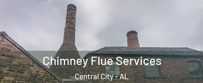 Chimney Flue Services Central City - AL