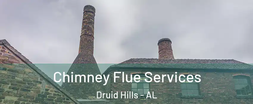 Chimney Flue Services Druid Hills - AL