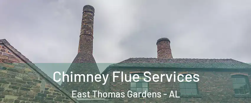 Chimney Flue Services East Thomas Gardens - AL