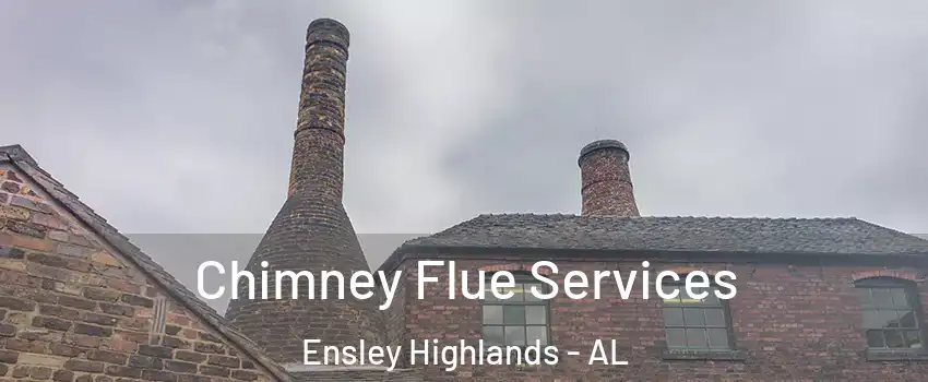 Chimney Flue Services Ensley Highlands - AL