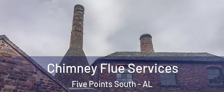 Chimney Flue Services Five Points South - AL