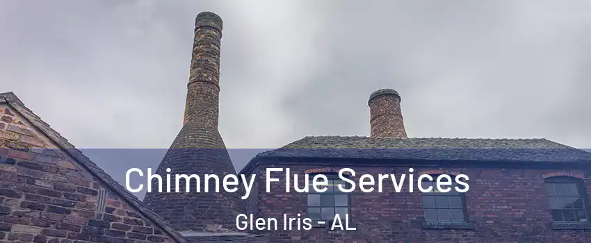 Chimney Flue Services Glen Iris - AL