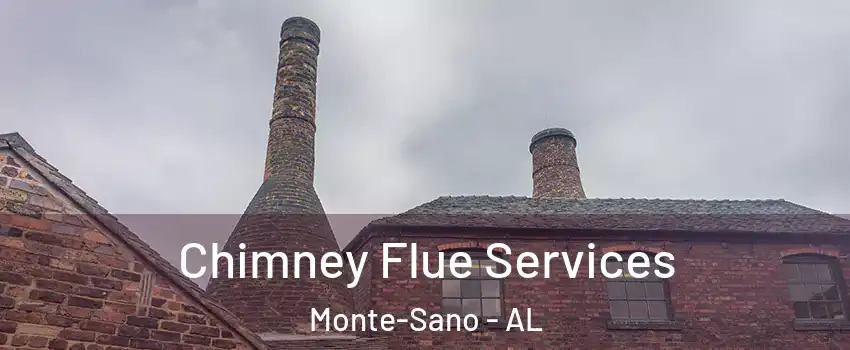Chimney Flue Services Monte-Sano - AL