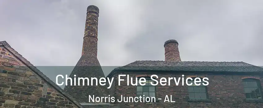 Chimney Flue Services Norris Junction - AL