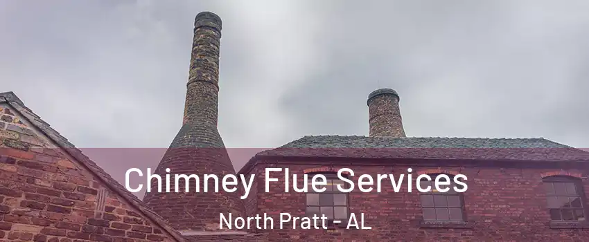 Chimney Flue Services North Pratt - AL
