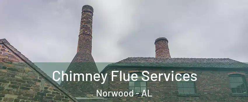 Chimney Flue Services Norwood - AL